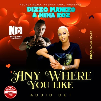 Anywhere you like (feat. Nina Roz) - Single