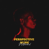 Perspective Music - Methodical