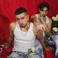 There's Only So Much a Heart Can Take - Single - Bahoz & Baran