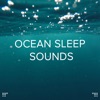 !!!" Ocean Sleep Sounds "!!!