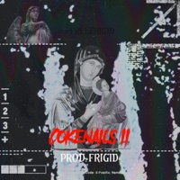 Cokenails 2 - Dev Gajan