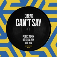 Can't Say - Single - Brrak