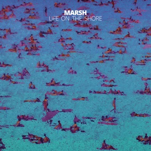 Life on the Shore