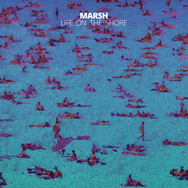 Life on the Shore