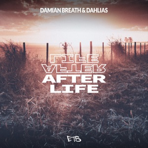 After Life - Single