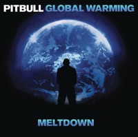 Feel This Moment (feat. Christina Aguilera) - Pitbull