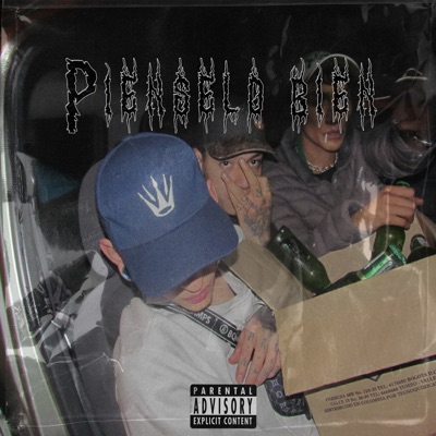 Piénselo Bien (feat. Inxana & IrionVip) - Single
