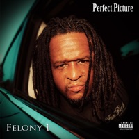 Perfect Picture - Single - Felony 1