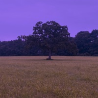 Dreaming of the Afterlife - Asmodai