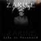 Life Is Paranoid - Zarine lyrics