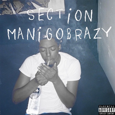 Section - Single