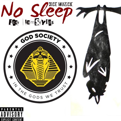 No Sleep (feat. IamStyles) - Single