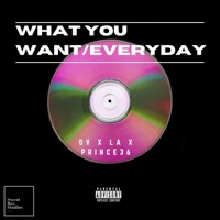 What You Want/Everyday (feat. L.A & Prince 36) - Single - OV