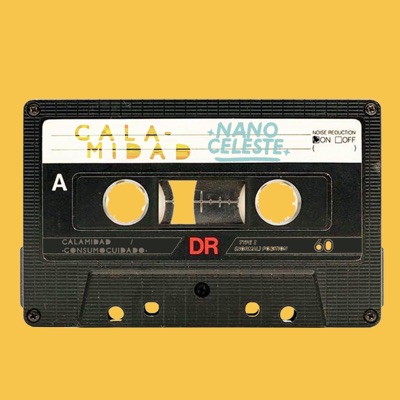 CALAMIDAD - Single