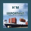 Important (feat. Maharifa Marango Music) - Single