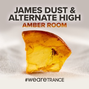 Amber Room - Single