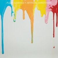 Album cover for Vagaries of Fashion by Fujiya & Miyagi