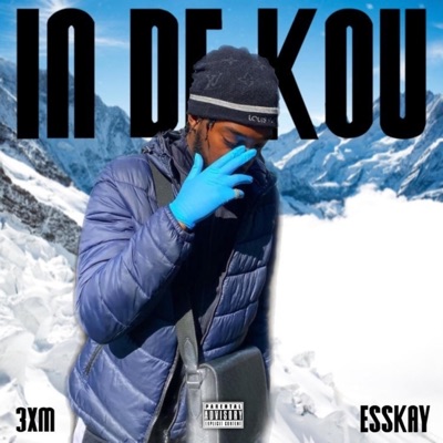 in de kou - Single