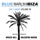 Blue Marlin Ibiza Day & Night, Vol. 12 artwork