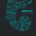 Camaleón