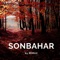 Canım Yanar - REMAX lyrics