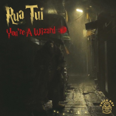 You're a Wizard - Single