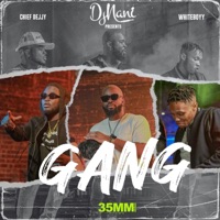 Djnani Gang (feat. Whiteboyy & Chief Dejjy) - Single - Djnani