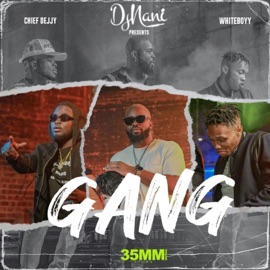Djnani Gang (feat. Whiteboyy & Chief Dejjy) Djnani