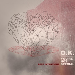 O.K. (You're Not Special) - Single
