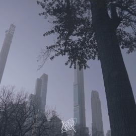 Coming Home Maxømøa