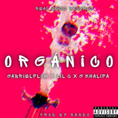 Orgánico - Single