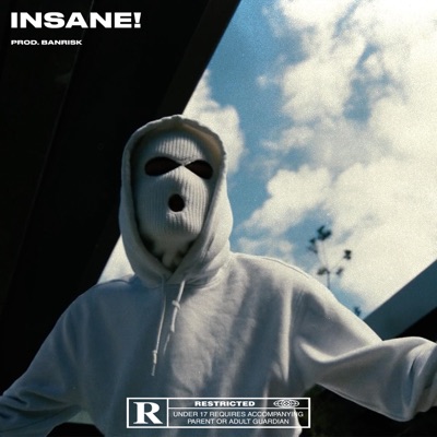 Insane! - Single