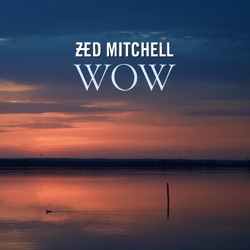 Zed Mitchell - The Train Has Gone