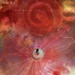 Animals As Leaders - Physical Education