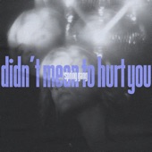 Didn't Mean to Hurt You artwork