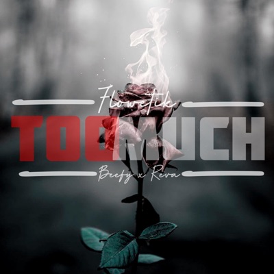 Too Much - Single