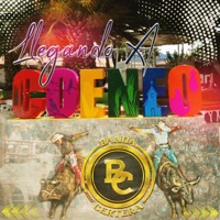 Llegando a Coeneo (Son) - Single - Banda Certera