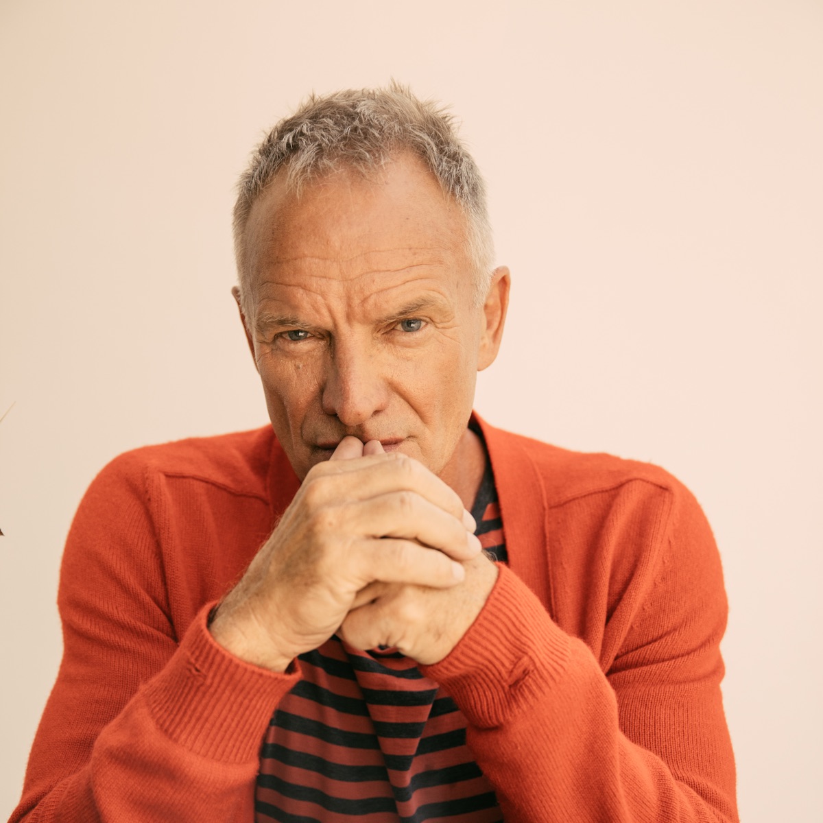 Sting artist photo
