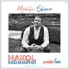 Mordechai Shapiro - Friends