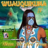Cover art for The last of the Mohicans by Wuauquikuna