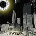 Sunflow3r