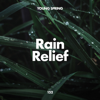 Heavy Rain Drops - Rain Sounds