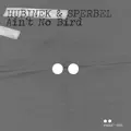 Ain't No Bird