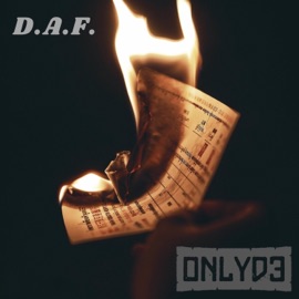 D.A.F. OnlyD3