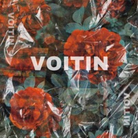 Voitin - Single - Joa