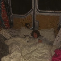 Miss Me @ Midnight - Single - SALEM THE PRINCE