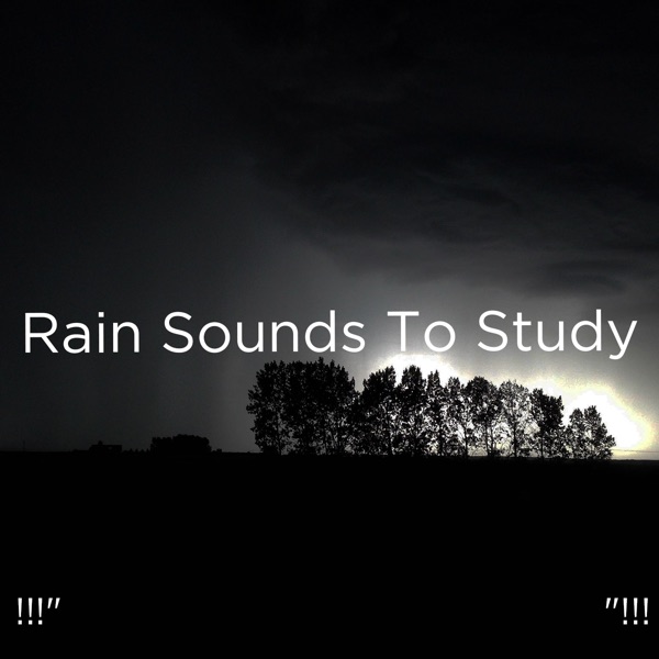 !!!" Rain Sounds to Study "!!!
