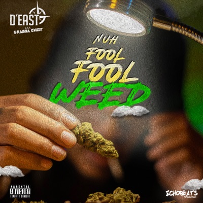 Nuh Fool Fool Weed - Single