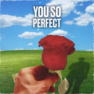 You So Perfect - Single