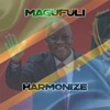 Magufuli cover art